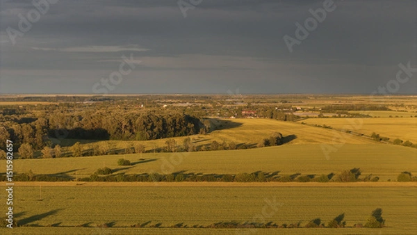 Fototapeta Golden Fields of Gherghița. An aerial view showcases the expansive golden fields in Gherghița, Prahova County, Romania. The vibrant yellow crops, likely rapeseed, stretch under a cloudy sky.