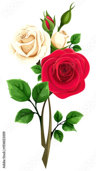 Obraz Rose flowers. Red and white rose flowers with stems isolated on a white background. Rose branch. Vector illustration