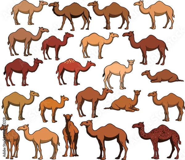 Fototapeta  illustration of various camels in different colors, poses, and styles on a transparent background