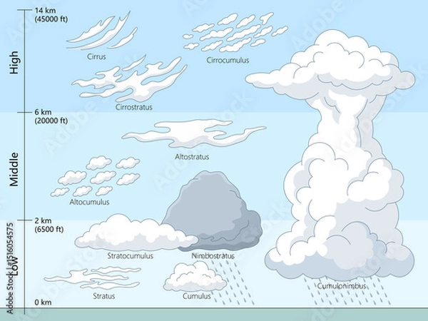 Fototapeta Educational diagram showing different cloud types categorized by low, middle, and high altitudes, including stratus, cumulus, cirrus, and cumulonimbus hand drawn schematic raster illustration. 