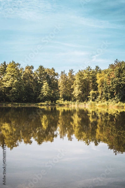Fototapeta Baggersee near Achmer – Peaceful Lake with Forest Reflections in a Tranquil Landscape