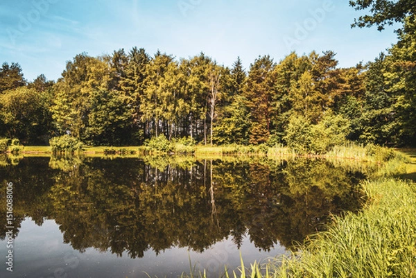 Fototapeta Baggersee near Achmer – Peaceful Lake with Forest Reflections in a Tranquil Landscape