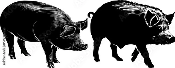 Fototapeta Modern illustration of a black pig icon logo in silhouette form, isolated on a white background, showcasing its outline and shadow in a side view profile