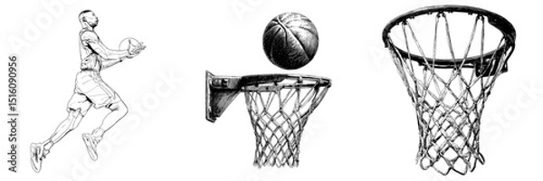 Fototapeta A detailed outline line art drawing depicts a basketball going through a hoop in black and white