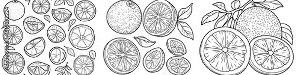Fototapeta A hand drawn outline of black and orange doodle fruits is set against a white background in doodle style