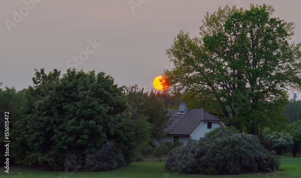 Fototapeta A serene countryside sunset with the orange sun setting behind lush green trees and a cozy white house nestled in the landscape.