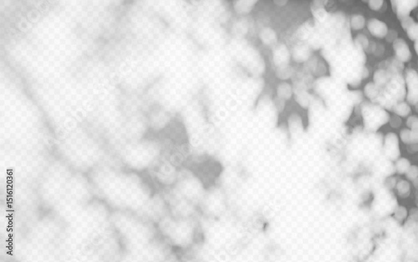 Fototapeta Abstract shadow overlay from tree branch on a transparent background.