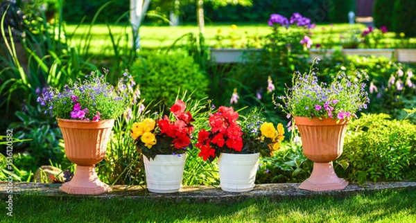 Obraz Beautiful colorful multicolored flowers in pots outdoors in the garden on a country site in spring summer. Landscaping and gardening.