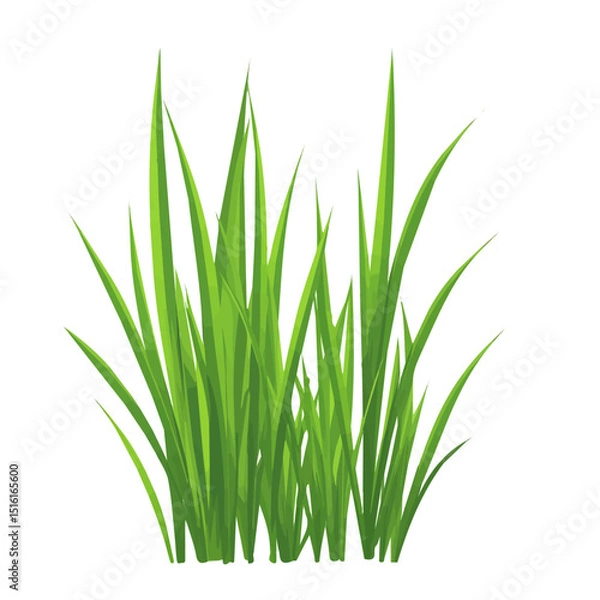 Obraz My Simple flat 2D icon, grass blades isolated on a transparent background, vector, flat design, animation design, simple flat 2D icon, minimalist design, clipart. eps