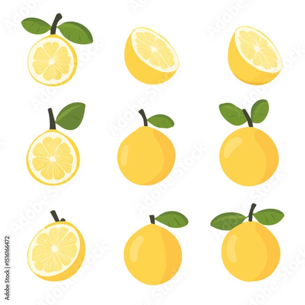 Obraz My Simple flat 2D icon, quinces set isolated on a transparent background, vector, flat design, animation design, simple flat 2D icon, minimalist design, clipart. eps