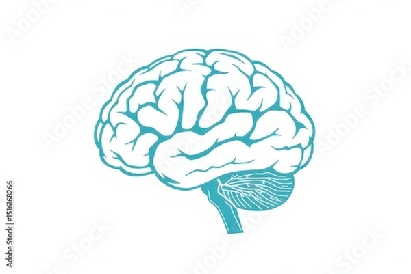 Fototapeta List memorizing concept. Illustration of a brain with intricate details and blue outlines.