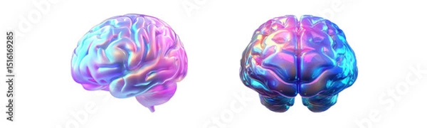 Obraz brain, human anatomy, isolated on transparent background.