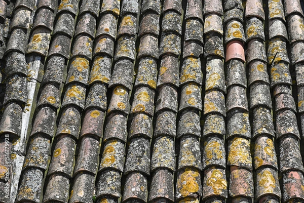 Fototapeta tiles on a roof seen from above in close-up