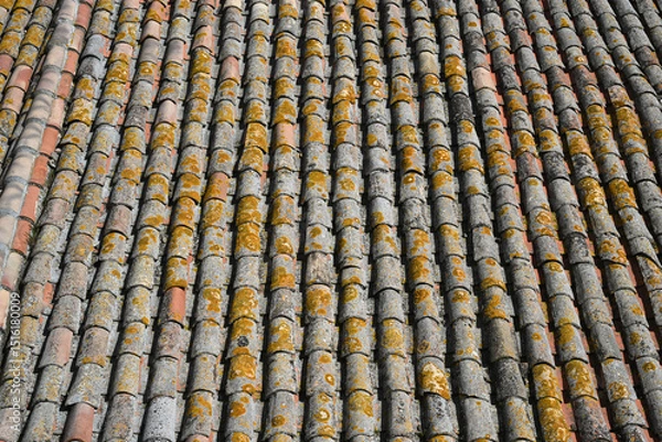 Fototapeta tiles on a roof seen from above in close-up