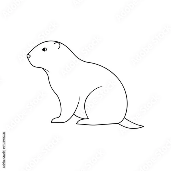 Fototapeta The Alpine Marmot A Mountain Dwelling Rodent On An Isolated White Surface