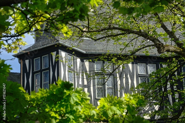 Obraz Timbered House