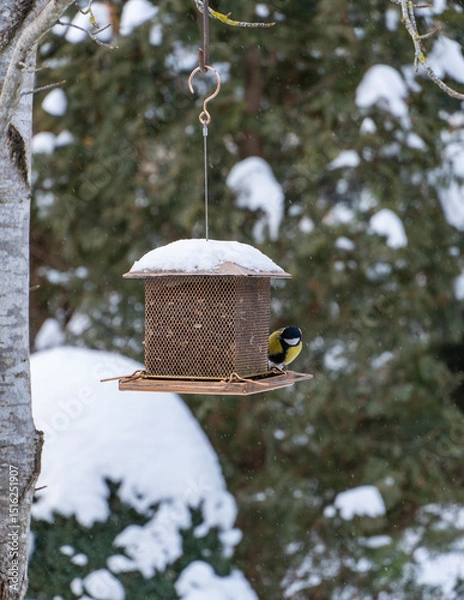 Fototapeta Bird feeder hangs on tree. Bright titmouse sits on snow-covered bird feeder surrounded by serene snow-covered forest, capturing moment of winter tranquility.