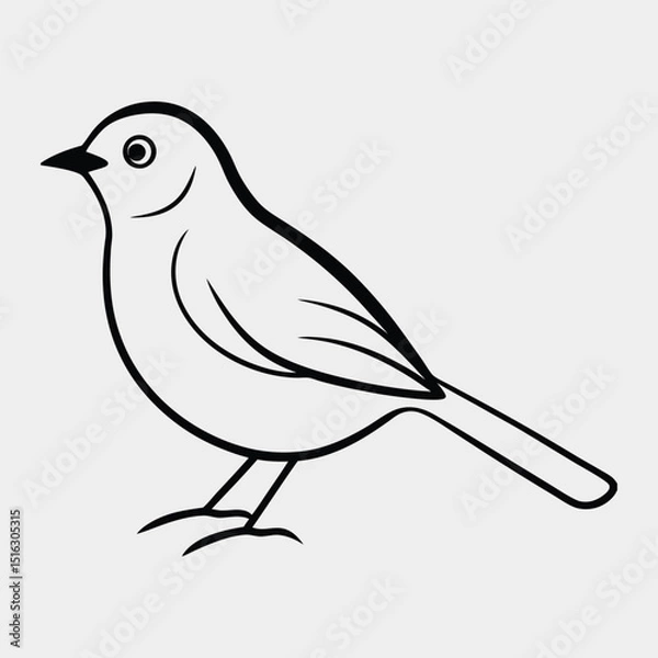 Obraz vector illustration of a bird