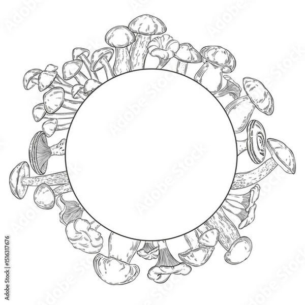 Fototapeta Mushrooms. Round frame with space for text.  Hand drawn illustration. Perfect for design templates,wrapping, print, menu, recipe design.