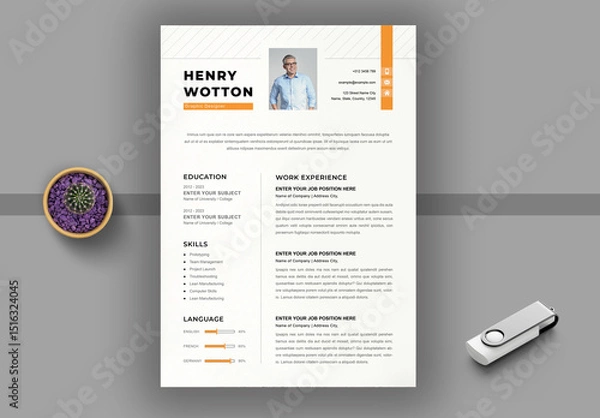 Obraz Professional Resume Template