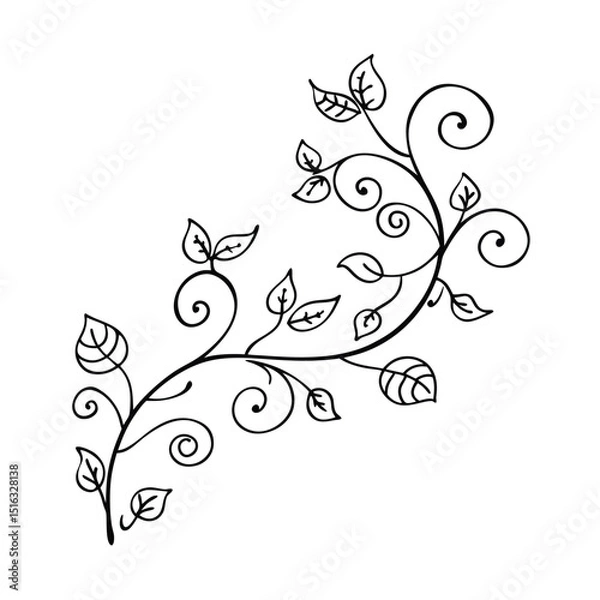 Fototapeta Delicate black line art illustration of a floral branch with swirls and leaves on white background