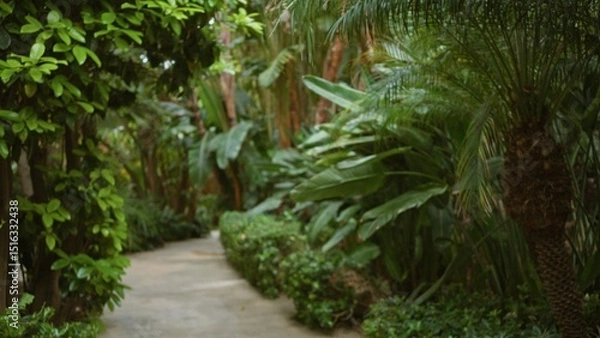 Fototapeta Lush tropical garden path featuring blurred greenery, evoking a luxurious resort ambiance ideal for exotic travels and relaxation.