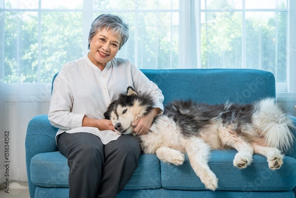 Fototapeta Elderly senior Asian woman sitting on sofa and hugging fluffy Siberian Husky dog indoors, looking at camera