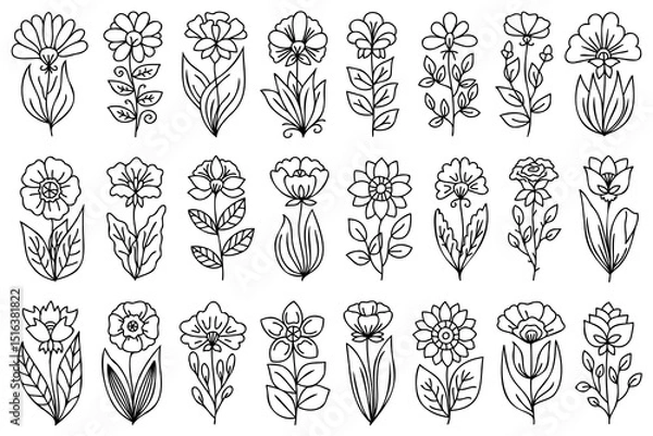 Fototapeta Abstract line art, hand drawn flowers set. Collection of outline flowers with stem and leaves, drawn with black thin line, isolated on white background.