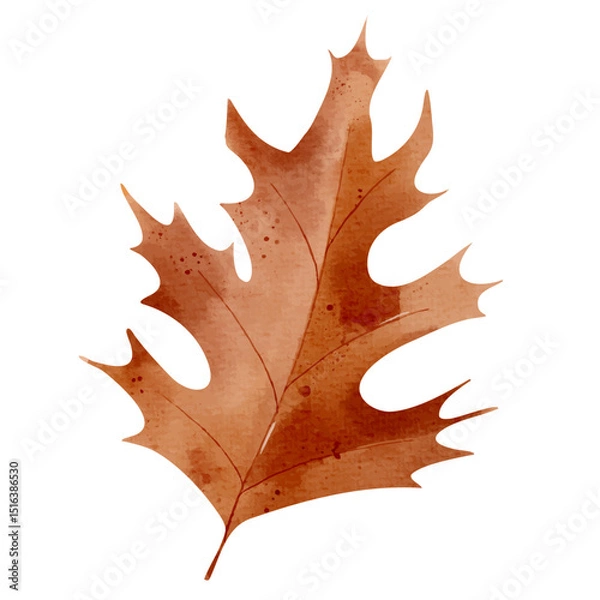 Obraz Watercolor autumn leaf. Hand painted fall foliage element for seasonal design, posters, cards or invitations