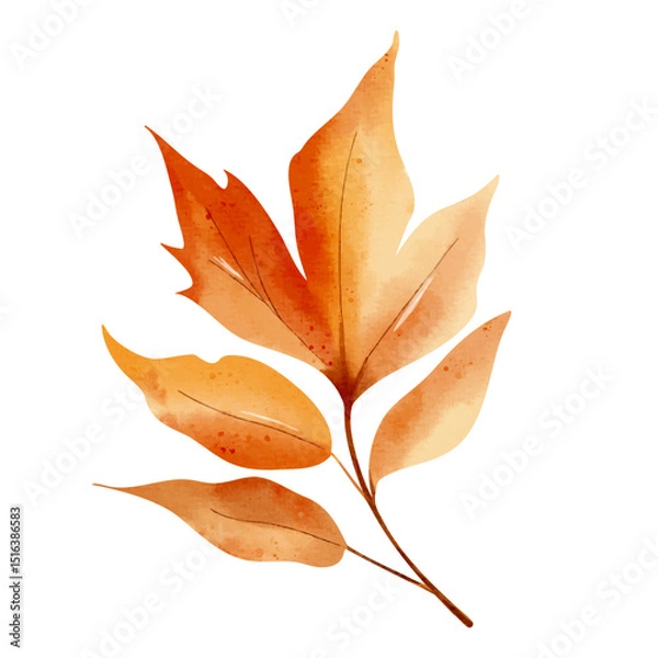 Obraz Single autumn leaf in watercolor. Isolated hand drawn fall foliage illustration for print and digital use