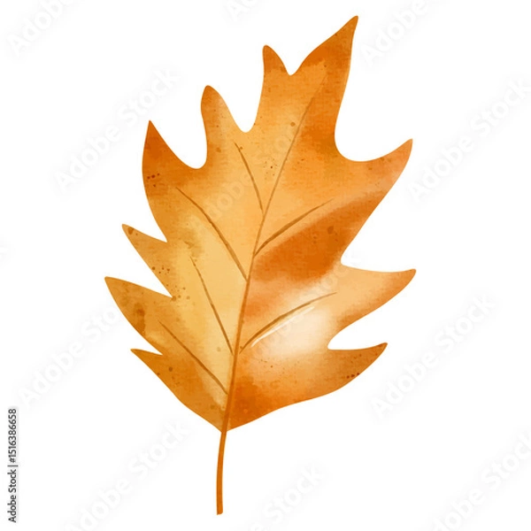 Obraz Watercolor autumn leaf. Hand painted fall foliage element for seasonal design, posters, cards or invitations