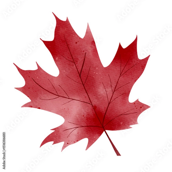Obraz Single autumn red leaf in watercolor. Isolated hand drawn fall foliage illustration for print and digital use