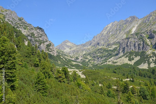 Obraz Mlynicka dolina, a valley located in the Slovak High Tatras. View from the Solisko Express chairlift; Slovakia