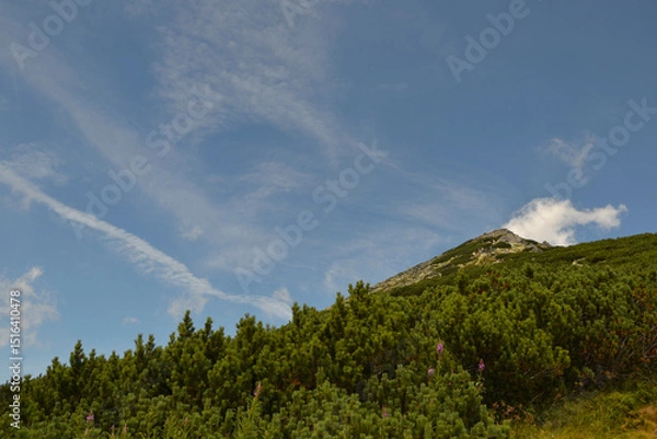 Obraz Views from the trekking route. Mountain hiking trail leading from Chata pod Soliskiem to Predne Solisko peak located in the Slovak High Tatras. Slovakia 