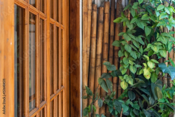 Fototapeta wooden window frames bamboo walls climbing plants vines pothos facade blur bokeh background
