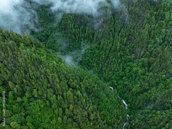 Fototapeta Aerial view of  beautiful foggy forest mountain landscape