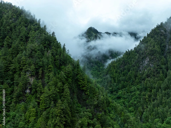 Fototapeta Aerial view of  beautiful foggy forest mountain landscape