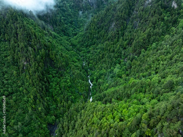 Fototapeta Aerial view of  beautiful foggy forest mountain landscape