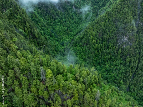 Fototapeta Aerial view of  beautiful foggy forest mountain landscape