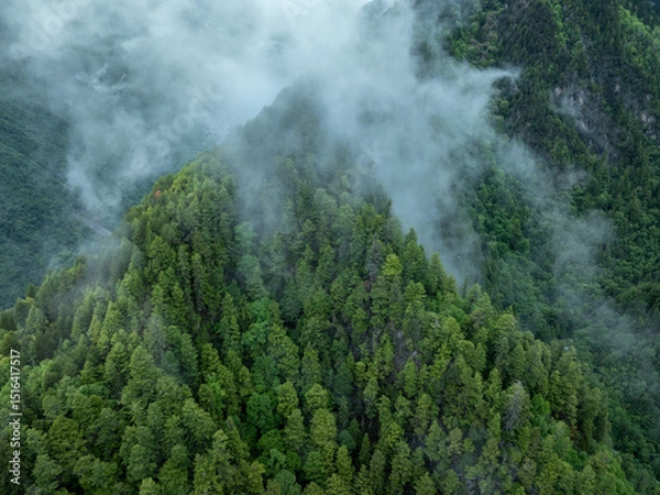 Fototapeta Aerial view of  beautiful foggy forest mountain landscape