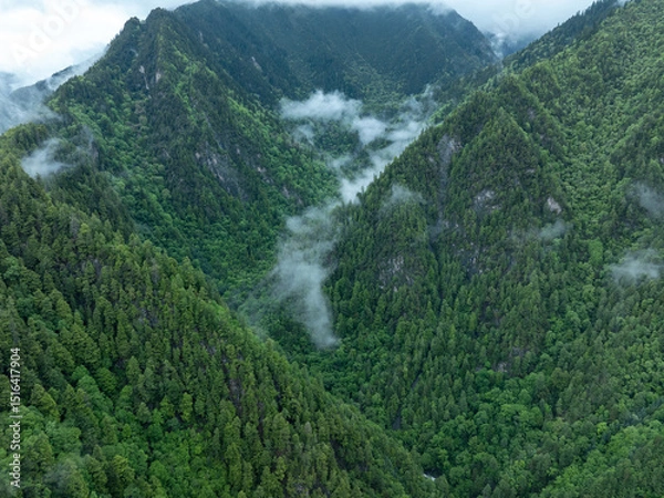 Fototapeta Aerial view of  beautiful foggy forest mountain landscape