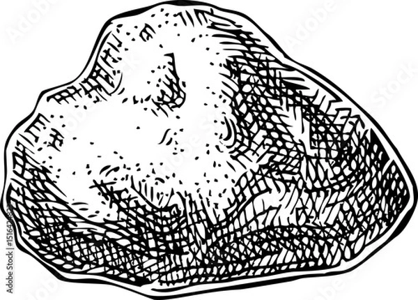 Fototapeta Ambergris sketch. Hand drawn vector illustration. Aromatic ingredients, perfumery, and organic cosmetics logo design. NOT AI generated