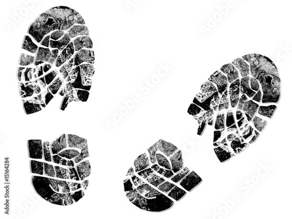Obraz boot print