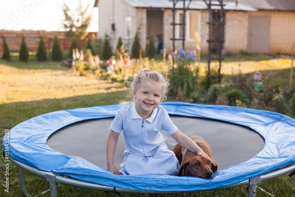Obraz a three year old smiling girl playing with dachshund dog on trampoline in green sunny summer park