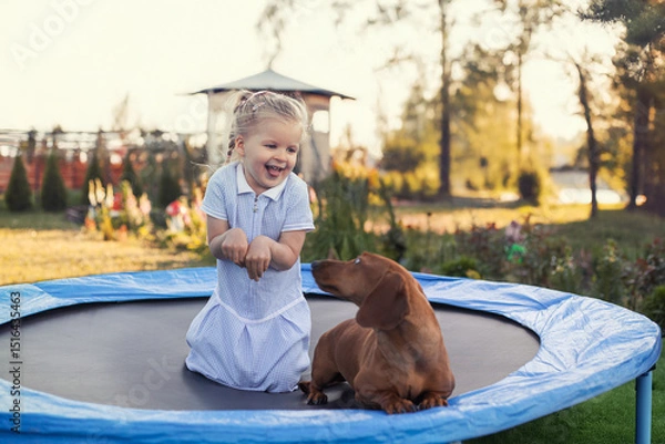 Obraz a three year old smiling girl playing with dachshund dog on trampoline in green sunny summer park