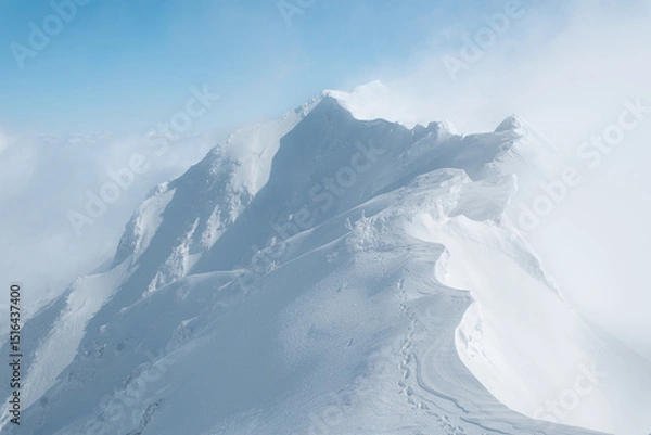 Fototapeta 冬の景色