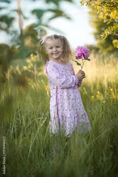 Obraz cheerful 3-year-old girl with pigtails in a pink dress with a peony walks in a village meadow