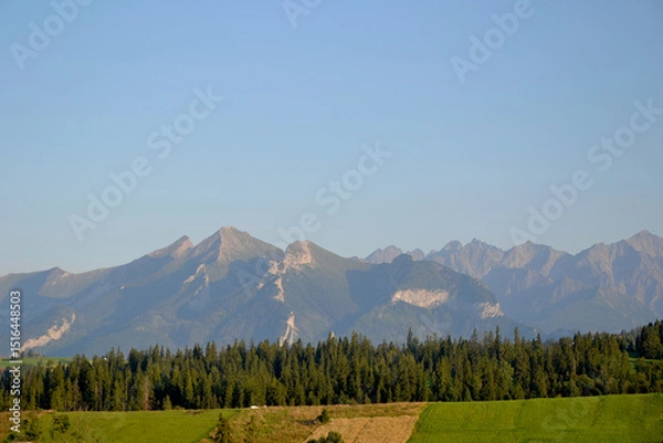 Obraz Panorama of the Tatra Mountains seen from the Jurgow, Poland. Summer time
