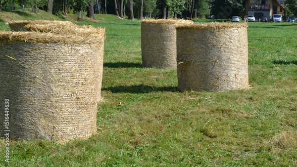 Obraz Haystack harvested in cereal field. Rolls of hay bales in a field. Hay is prepared in a roll for storage in winter. Agricultural scene on the polish countryside