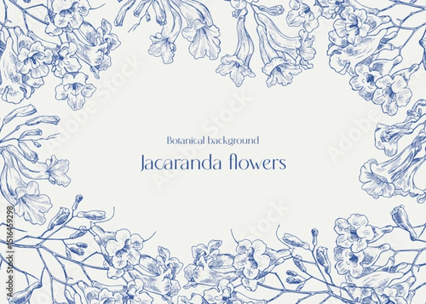 Fototapeta Toile art Vector vintage floral background Jacaranda tree flowers, flowering frame in blue and beige. Hand drawn engraved elements. Illustration for design greeting card, wedding decor. Monochrome